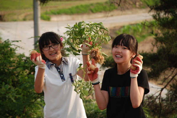 유기농