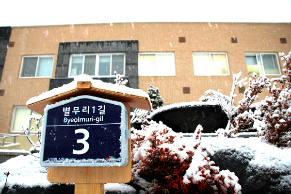 성경교과 및 성경적 세계관